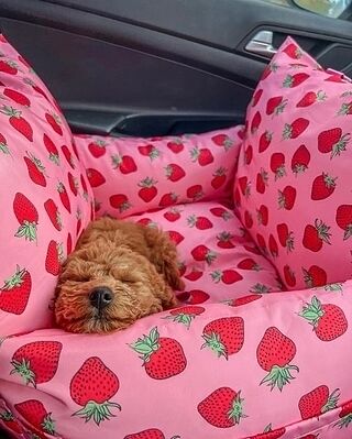 Deluxe Travel Car Bed: Strawberries