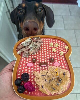 DISTRACT-O-MAT - Toast