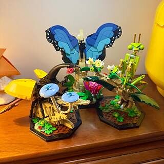LEGO® Ideas The Insect Collection