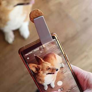WOOFIE