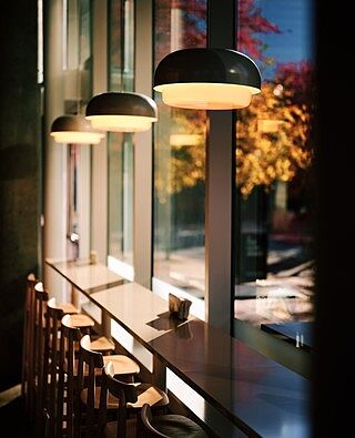 Ray 17" Pendant