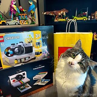 LEGO® Ideas Polaroid OneStep SX-70 Camera