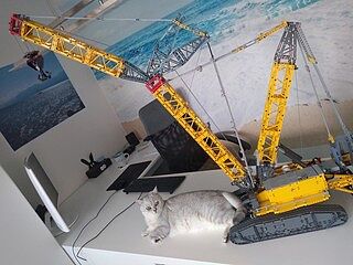 LEGO® TECHNIC™ Liebherr Crawler Crane LR 13000