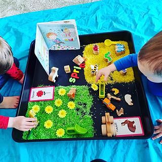 First Words Flash Cards Grade PK-1
