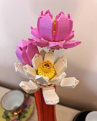 LEGO® Lotus Flowers