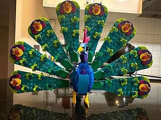 LEGO® Creator 3-in-1 Exotic Peacock