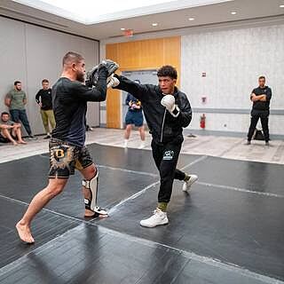 Gold Strike Puffy MMA Gloves