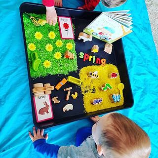 First Words Flash Cards Grade PK-1