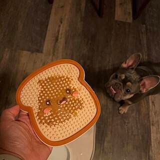 DISTRACT-O-MAT - Toast
