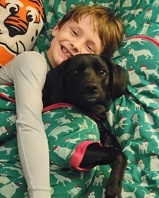 Long Sleeve Graphic Tee Pajama Set in Cedar Santa Dogs