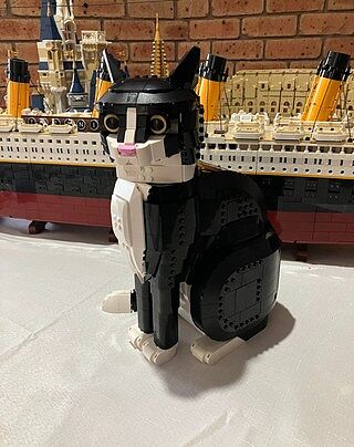 LEGO® Creator Expert Titanic