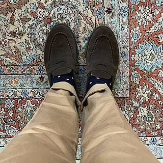Traveler Penny Espresso Suede