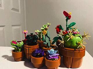 LEGO® ICONS™ Tiny Plants