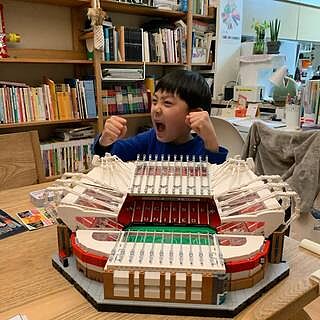 LEGO® Creator Expert Old Trafford - Manchester United