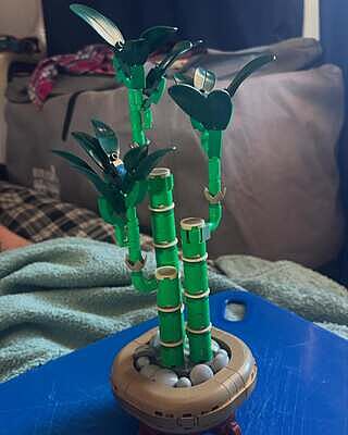 LEGO® Botanicals Lucky Bamboo