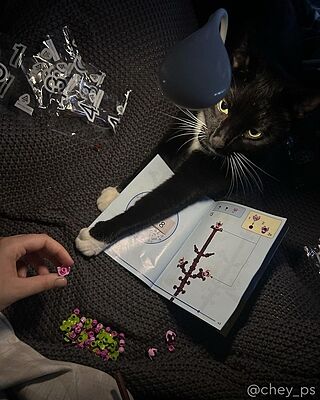 LEGO® Cherry Blossoms
