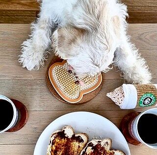 DISTRACT-O-MAT - Toast