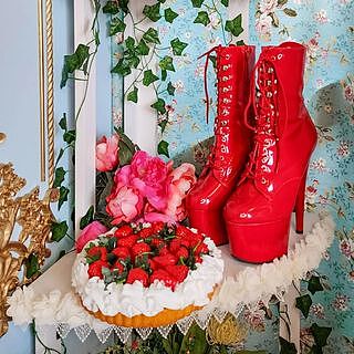 Pleaser Adore-1020 Boots