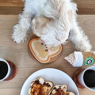 DISTRACT-O-MAT - Toast