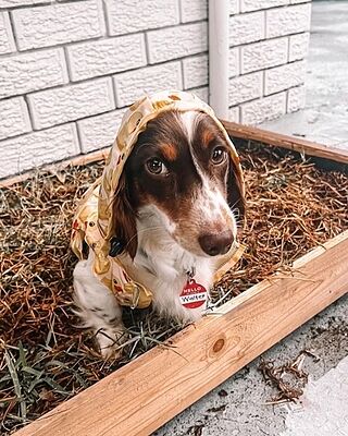 Rubber Ducky: Raincoat