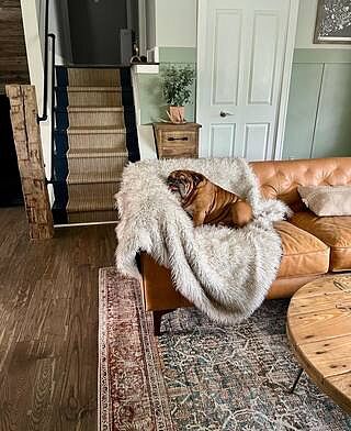 Essex 74" Apartment Sofa