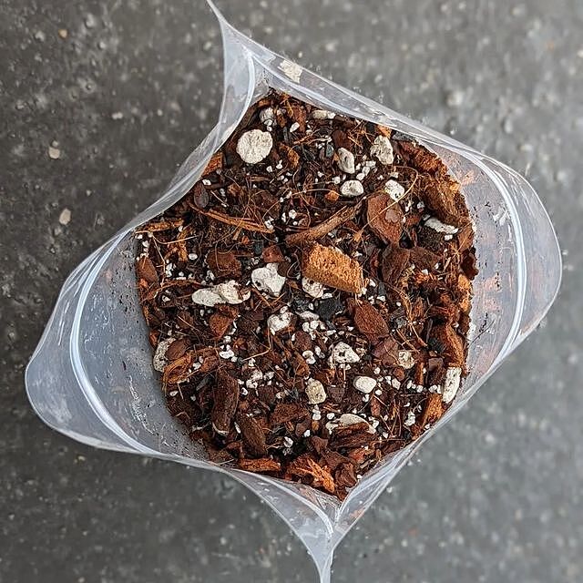 Jungle Mix - Premium Houseplant Potting Mix