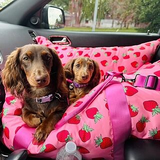 Deluxe Travel Car Bed: Strawberries