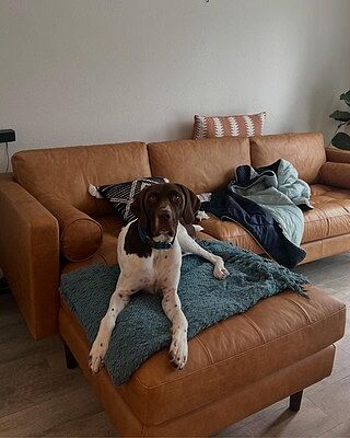 Napa Left-Facing Sectional Sofa