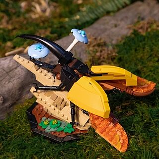 LEGO® Ideas The Insect Collection