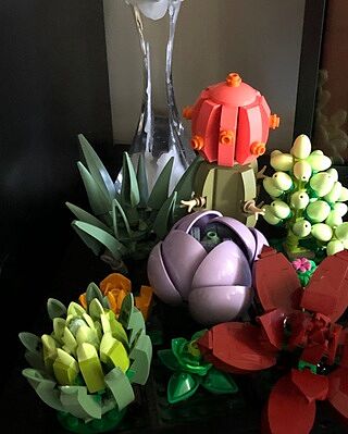LEGO® Succulents