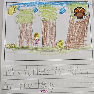 Turkeys Shape Stickers