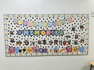 Checkered Rainbow Straight Bulletin Board Borders