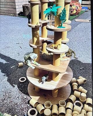 TTS Alice Sharps Eco Build a World