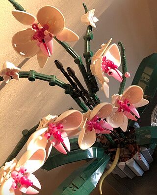 LEGO® Botanicals Mini Orchid