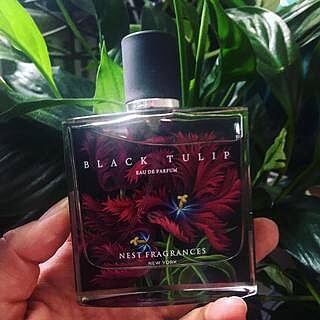 Black Tulip Eau de Parfum (50mL)