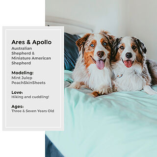 Mint Julep Sheet Set
