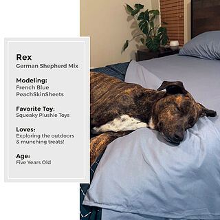 French Blue Sheet Set
