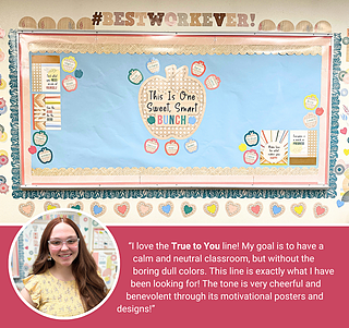 True to You This Is One Sweet, Smart Bunch Bulletin Board Set