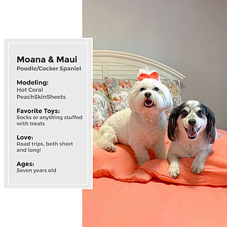 Hot Coral Sheet Set