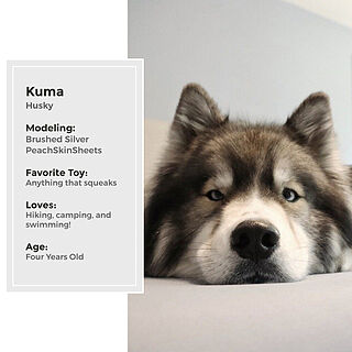 Brushed Silver Sheet Set
