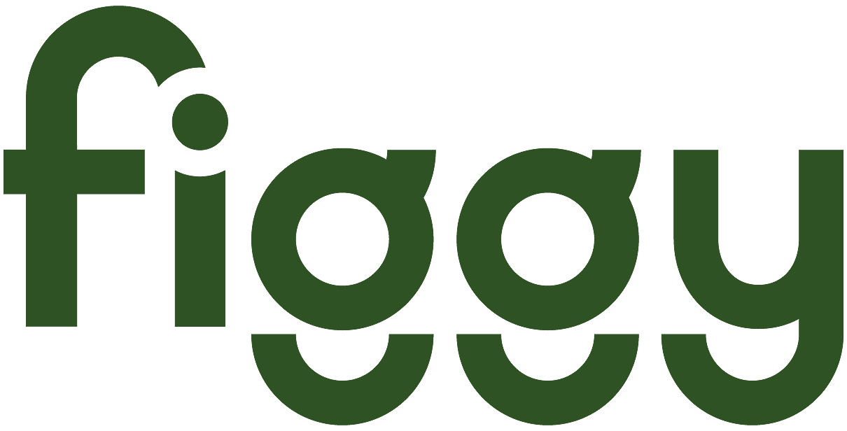 figgyplay.com