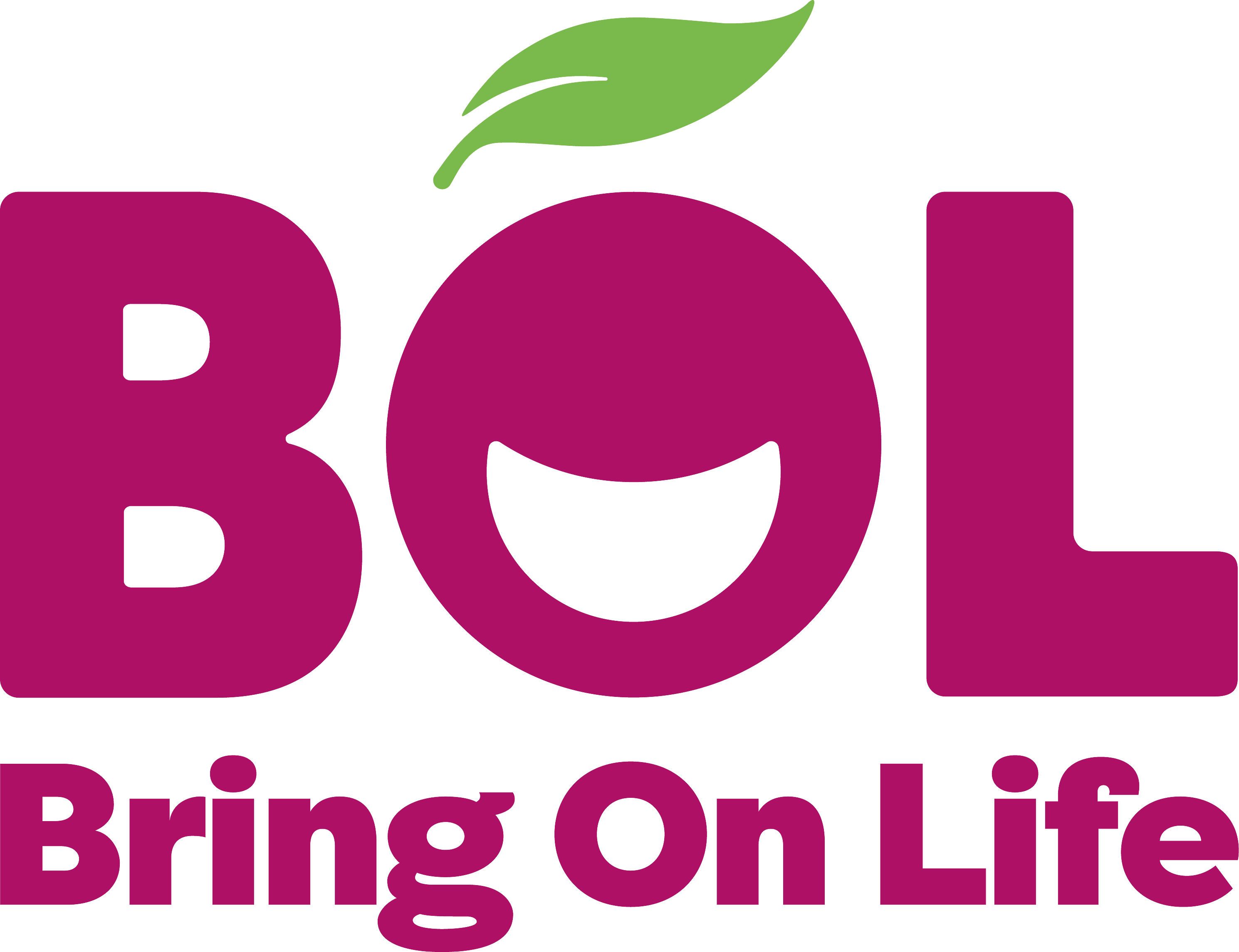 bolfoods.com