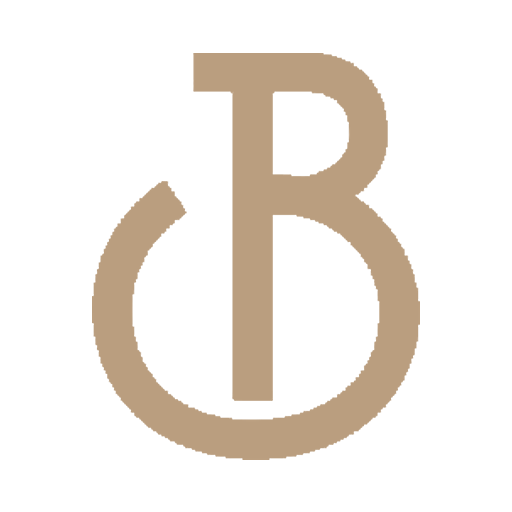 bigmattressco.com