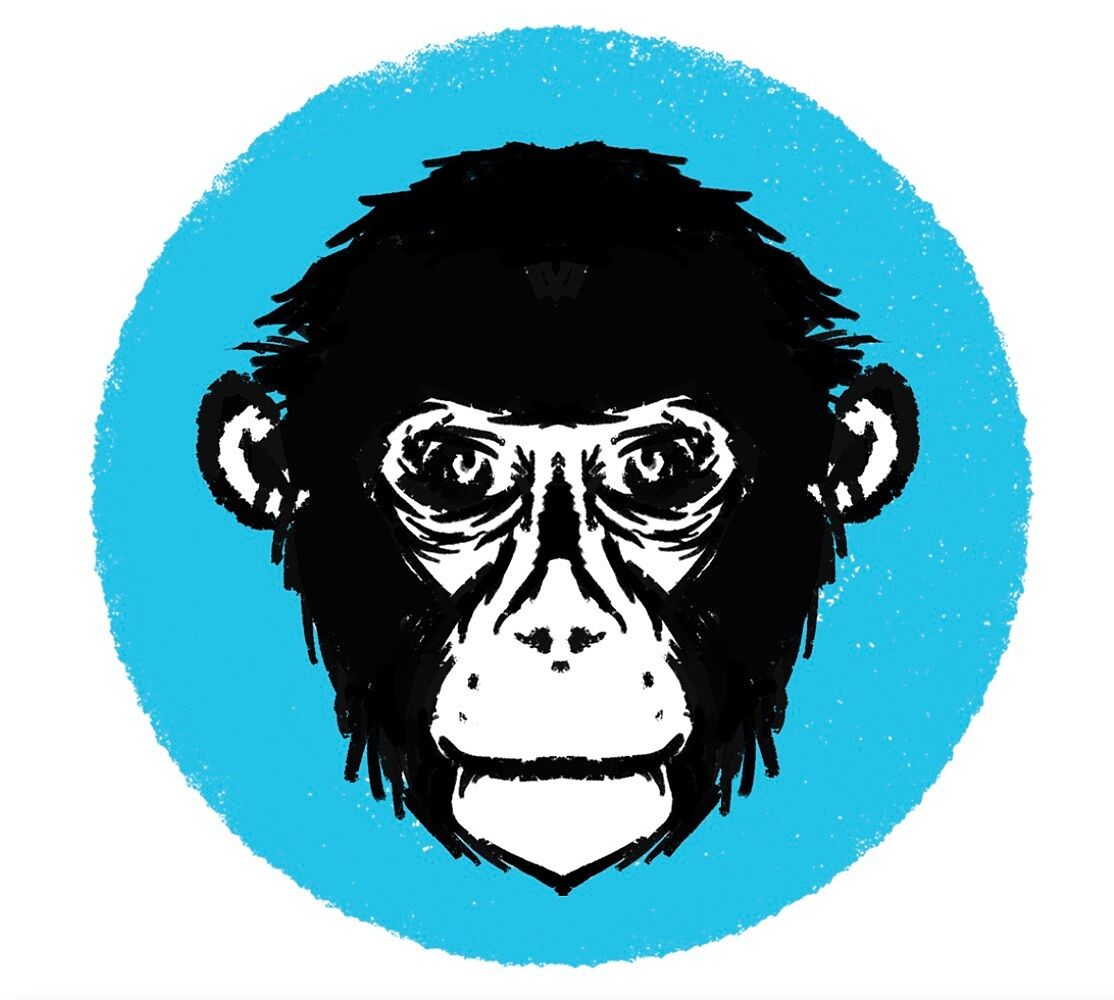 Polar Monkeys