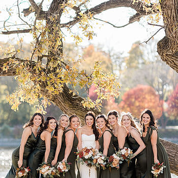 Bowie Chiffon Dress | Home Try On