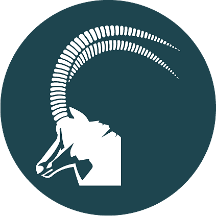 sableflow.com
