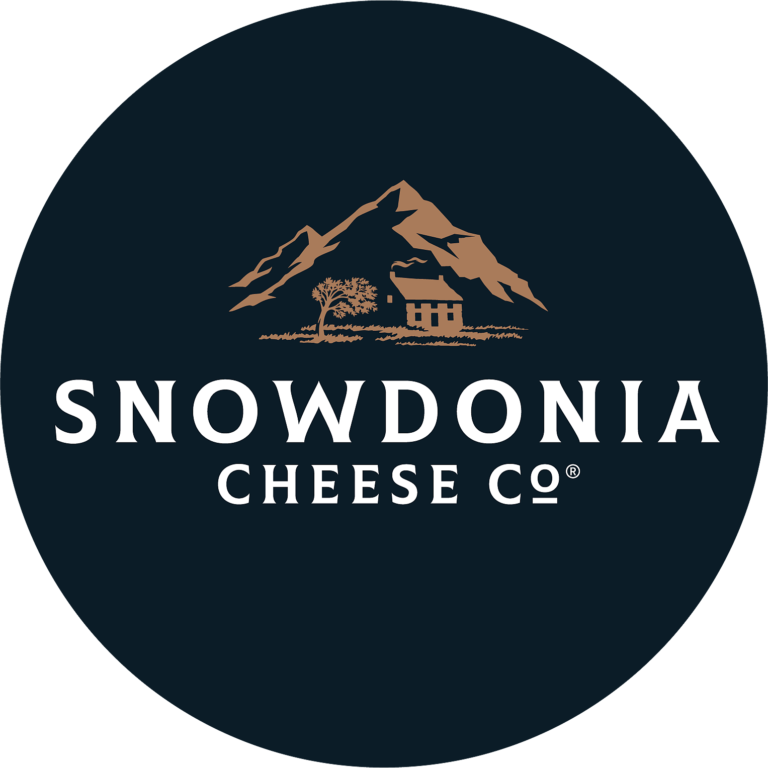 snowdoniacheese.co.uk