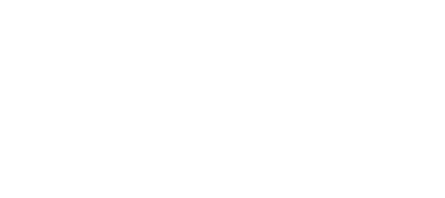 Brindle Pet Supplies