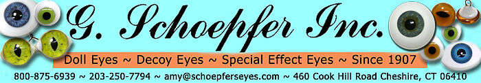Schoepfers Eyes