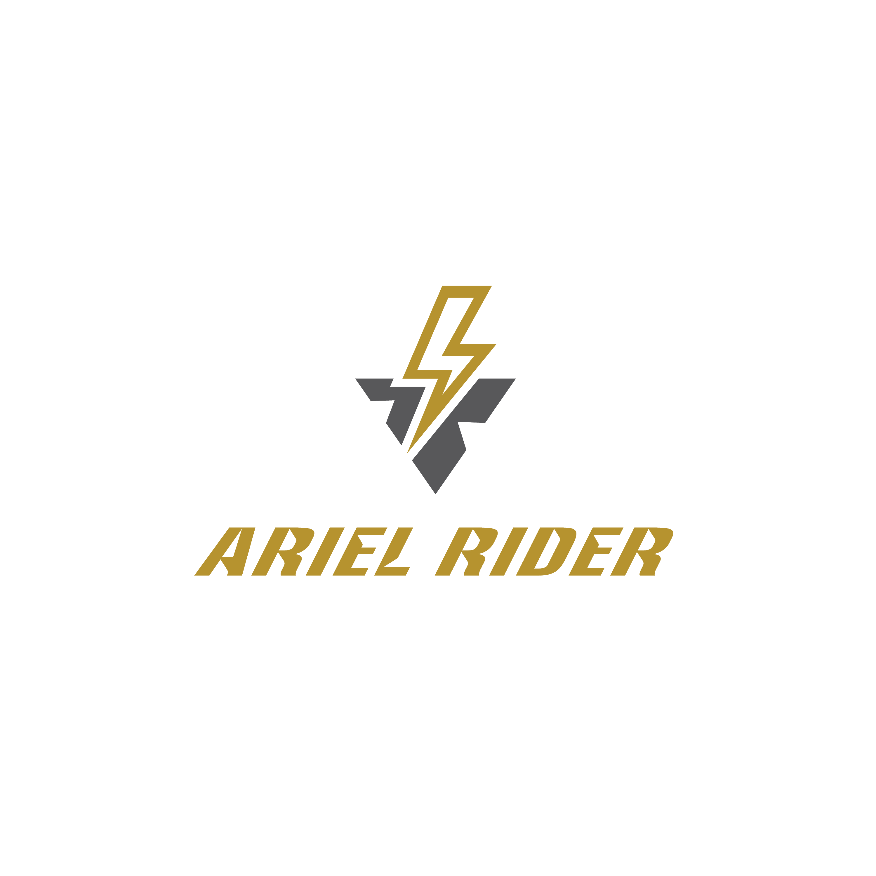arielrider.com
